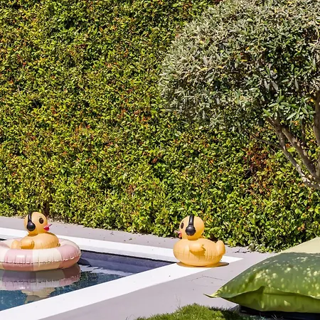 Elegant With Pool Luxury Konukevi